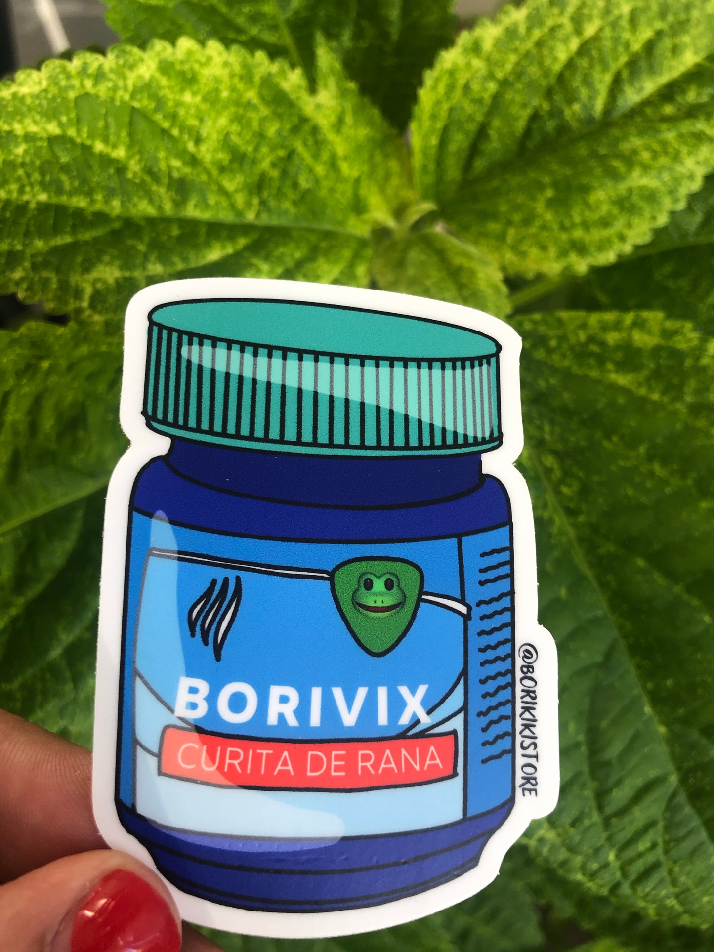 BoriVix