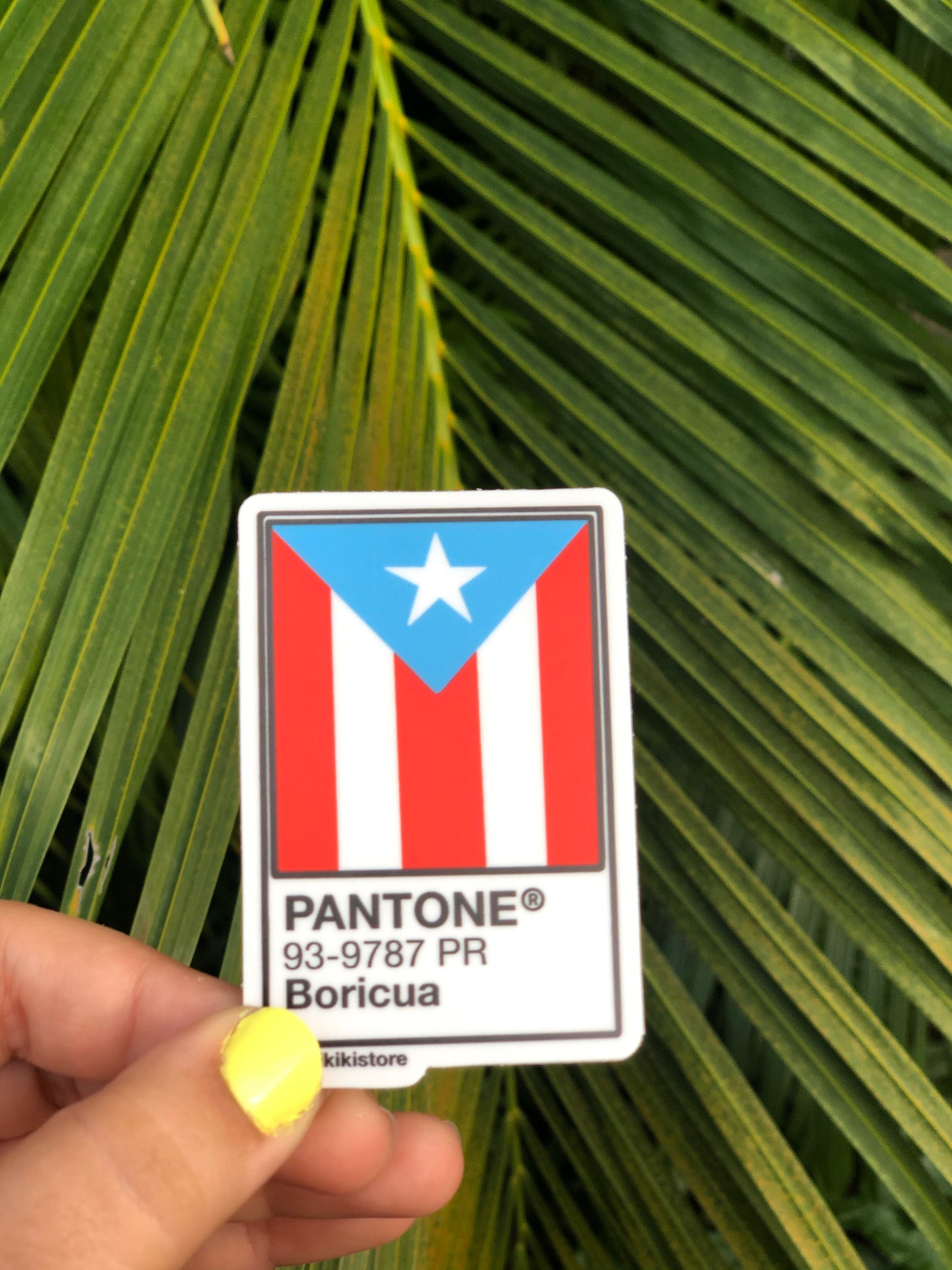 Colores de mi Tierra