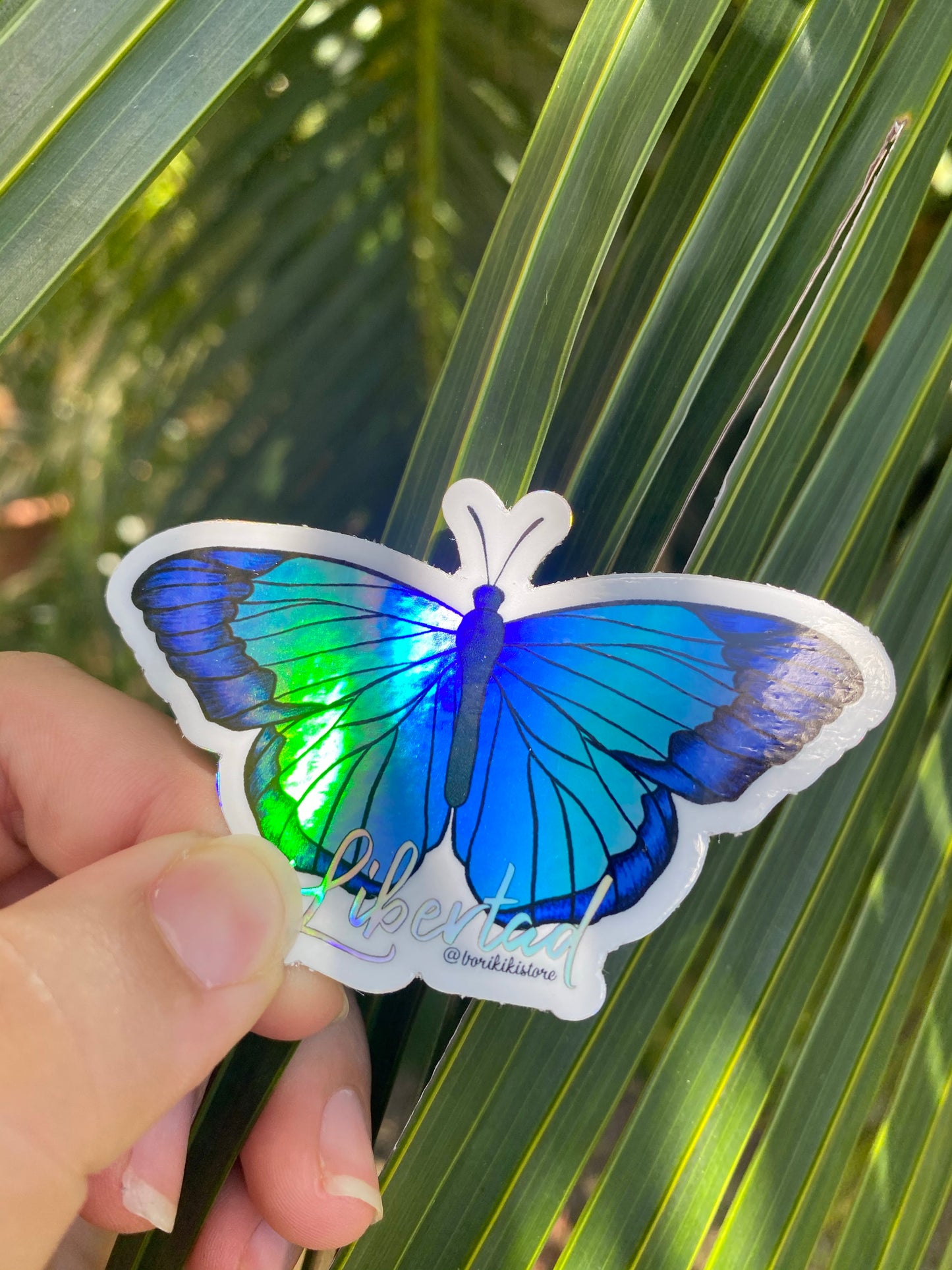 Mariposa Libertad 🦋