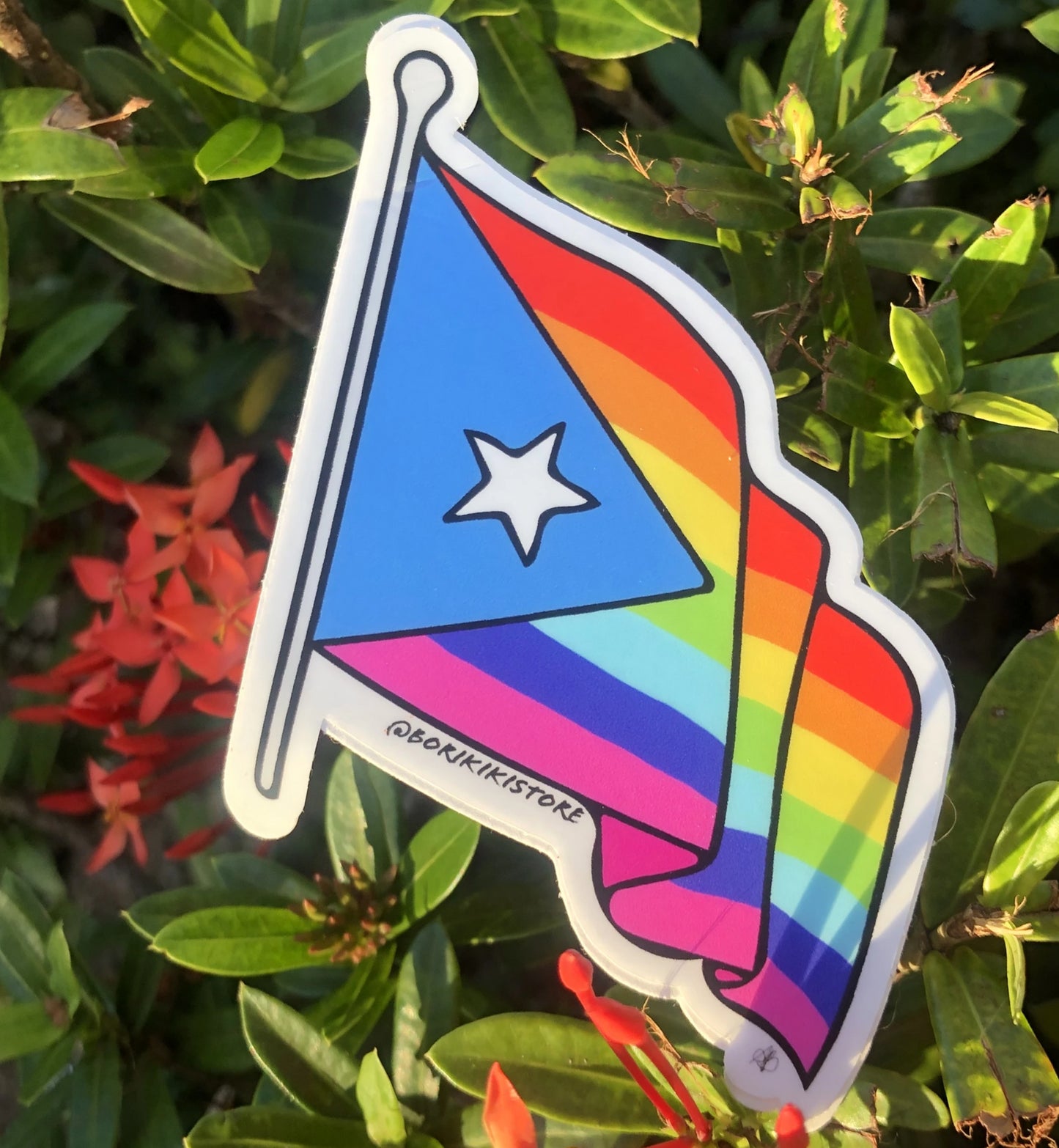 Puerto Rican Pride Flag