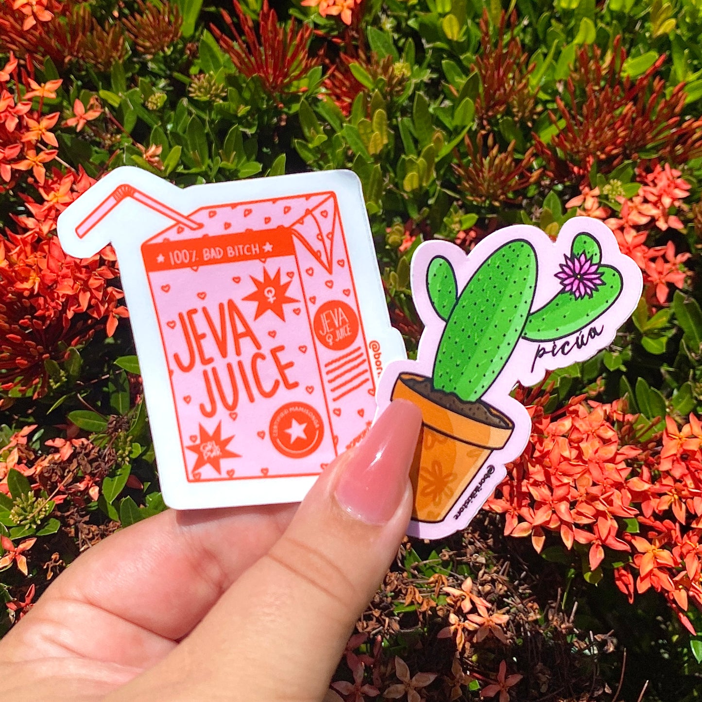 Picúa Cactus 🌵 - Premium Matte Sticker